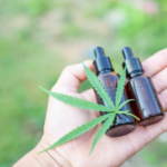 Unlocking the Benefits of CBD: Your Comprehensive Guide