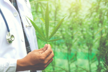 How Professionals Help You Use Medical Marijuana the Right Way