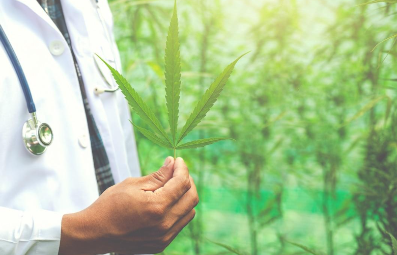 How Professionals Help You Use Medical Marijuana the Right Way