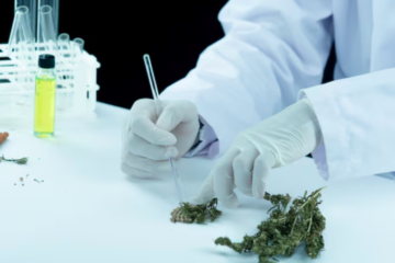Key Benefits of Visiting a Qualified Medical Cannabis Physician