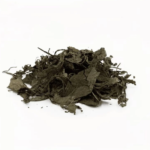 Why Clonal Lineage Matters in Salvia Divinorum: Cuttings, Genetics and Botanical Continuity